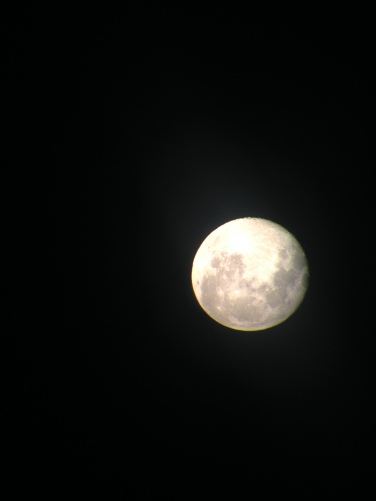 Took this one of the moon through a telescope